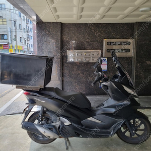 서울 강동구 pcx125 20년식 급처합니다.(최종가격)