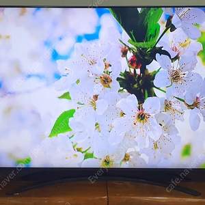 LG 86인치 4K 최고급 프리미엄 SUPER UHD Nano cell 디스플레이 돌비애트모스 사운드 SMART TV