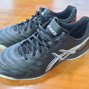 아식스 칼체토 TF 265 [택포 39,000원] ASICS CALCETTO TF