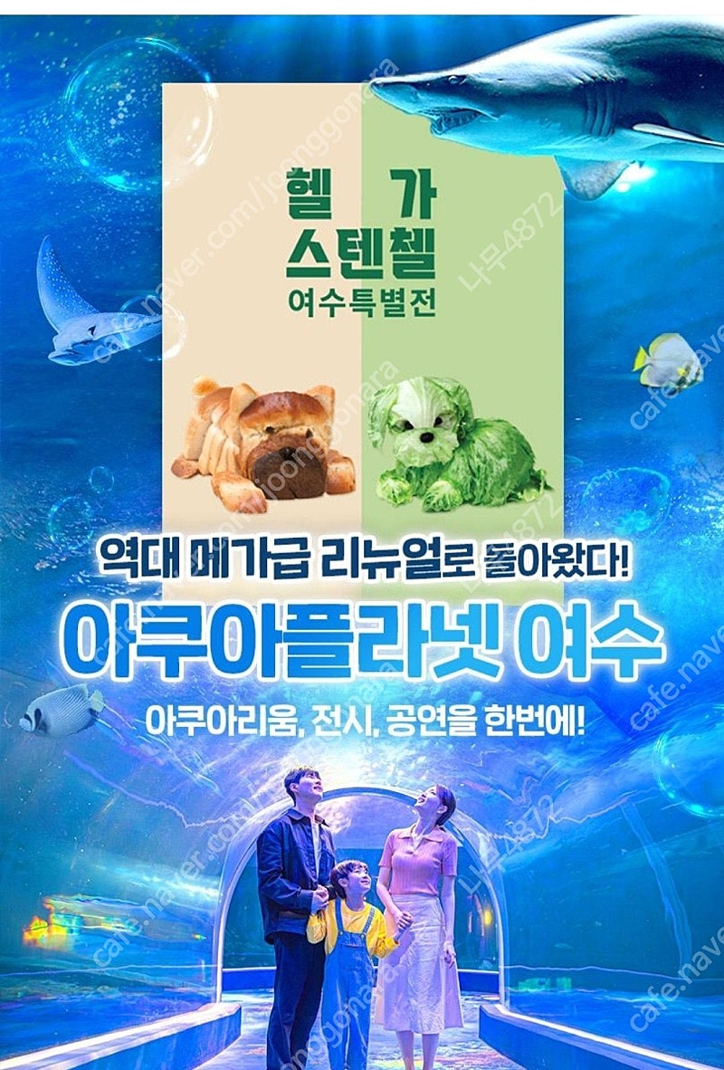 여수아쿠아플라넷 입장권 3장