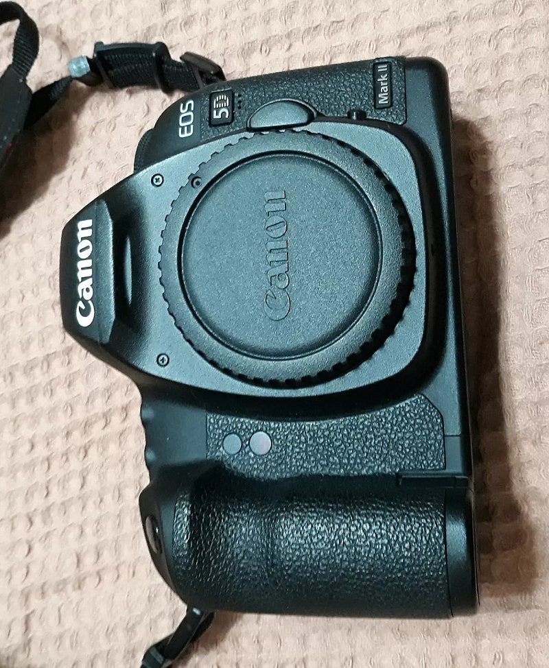 캐논 EOS 5D Mark II 바디, 캐논 스피드라이트 420 EX 스트로브 플래시