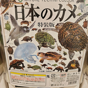 네이쳐 테크니 컬러 일본개구리, 거북이 피규어 팝니다(미개봉)