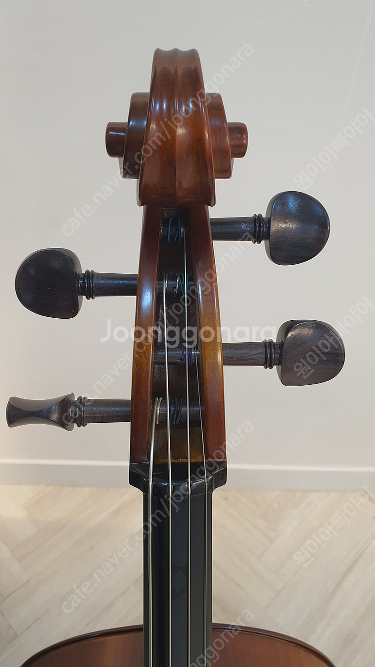 국산 정현첼로 JHC-250 신품 90만원 => 60만--4