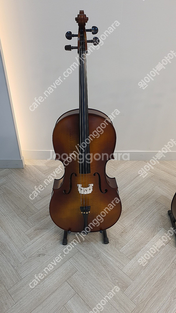 국산 정현첼로 JHC-250 신품 90만원 => 60만--0