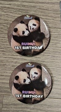 푸바오 광안리 뱃지&루이바오 후이바오 캔뱃지 삽니다!--1