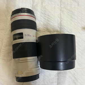 EF 70-200mm F4L IS USM 형아백통