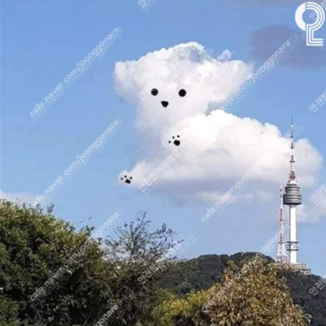 한화이글스 고척 110블럭 111블럭 208블럭 3루 ...--0