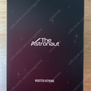 The Astronaut 우떠 키링 wootteo keyring미개봉 새