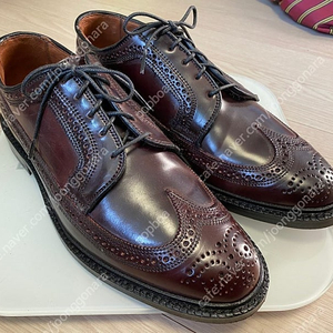 allen edmonds 알랜 에드먼즈 ae mcneil cordovan 쉘 코도반 맥닐 8.5 알든, alden