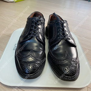 allen edmonds 알랜 에드먼즈 ae mcneil cordovan 쉘 코도반 맥닐 8.5 알든, alden