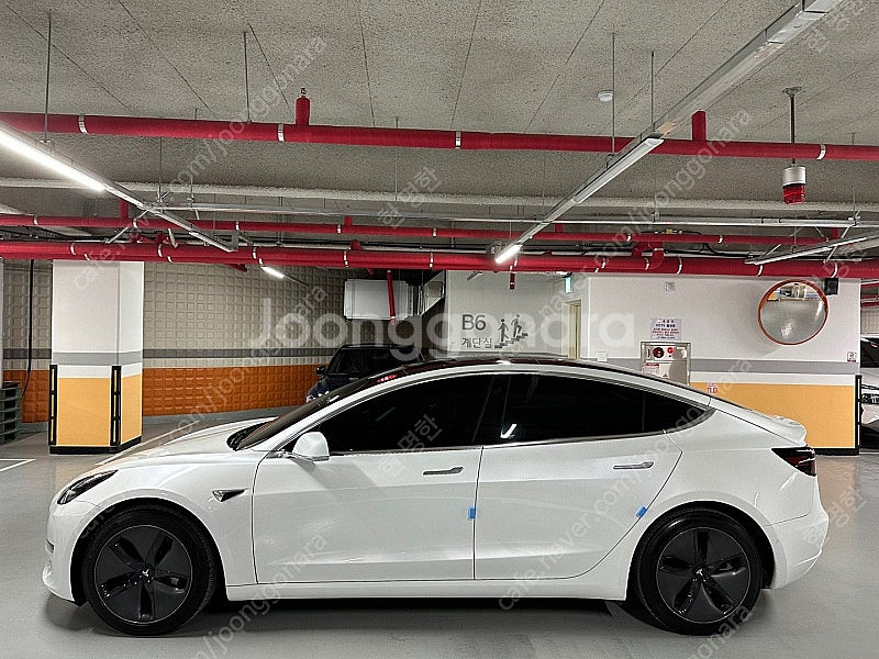 테슬라 모델 3 EV AWD 롱 레인지 3,890만원 ...--1