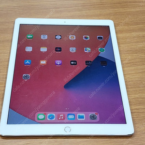 A1584 iPad pro 아이패드 프로 12.9(1세대)/128기가/와이파이 전용