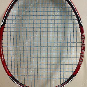 YONEX 요넥스볼트릭 50 및 파워쿠션 800MD 팝니다