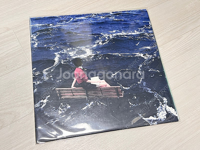 새소년 비적응 미개봉 lp(2023)--0