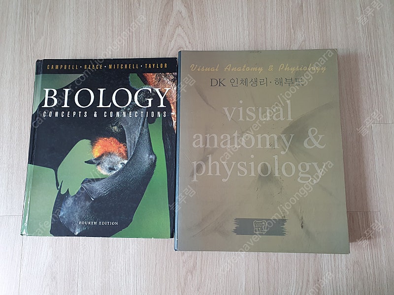 DK인체생리해부도,biology 교육용 공부용 도서 책