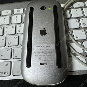 애플 키보드와 마우스 (구형)