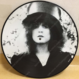 LP ; T. Rex 티렉스, 마크 볼란 엘피 음반 2장 픽쳐디스크 글램 락 glam rock picture disc