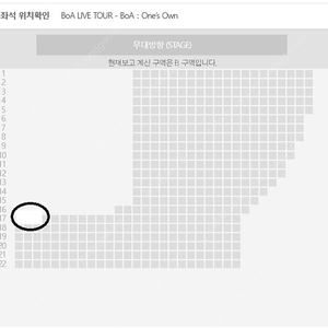 <최저가 초특급 꿀명당>BOA live 보아 라이즈 공연 막공 양도