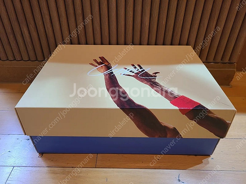 [260] 에어조던 4 유니온 데저트 모스--9