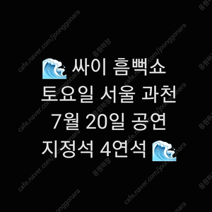 서울 과천 흠뻑쇼 싸이 흠뻑쇼 지정석 통로 4연석 7월 20일 토요일 4연석 통로석 싸이 콘서 흠뻑쇼 통로석 명당 4연 지정석 SUMMERSWAG 2024