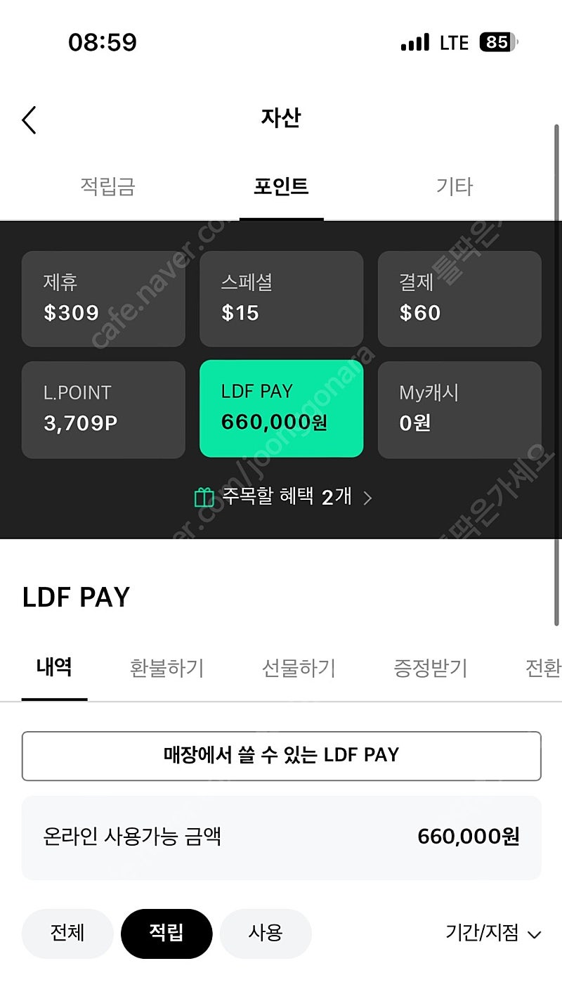 LDF Pay (롯데면세점) 66만원