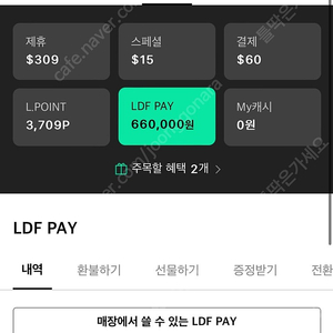 LDF Pay (롯데면세점) 66만원