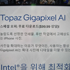 Topaz Gigapixel Ai