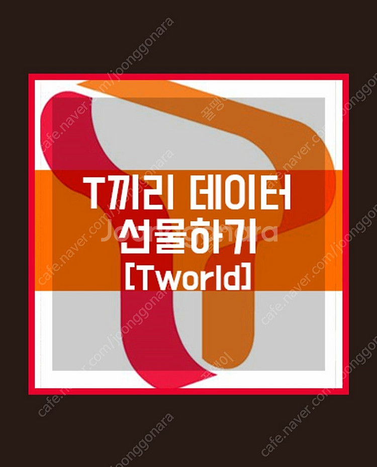 skt 2기가--0