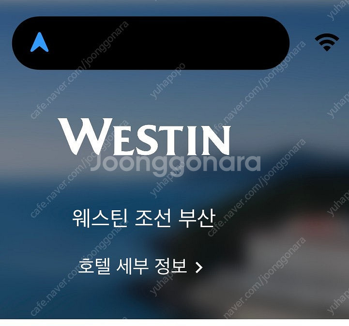 부산 메리어트 조선 호텔 13일 토요일 구해요--0