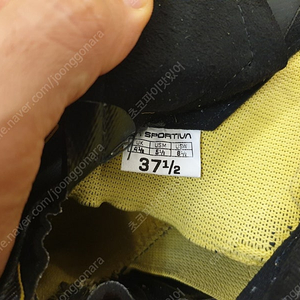 la sportiva 37.5 (클라이밍화)