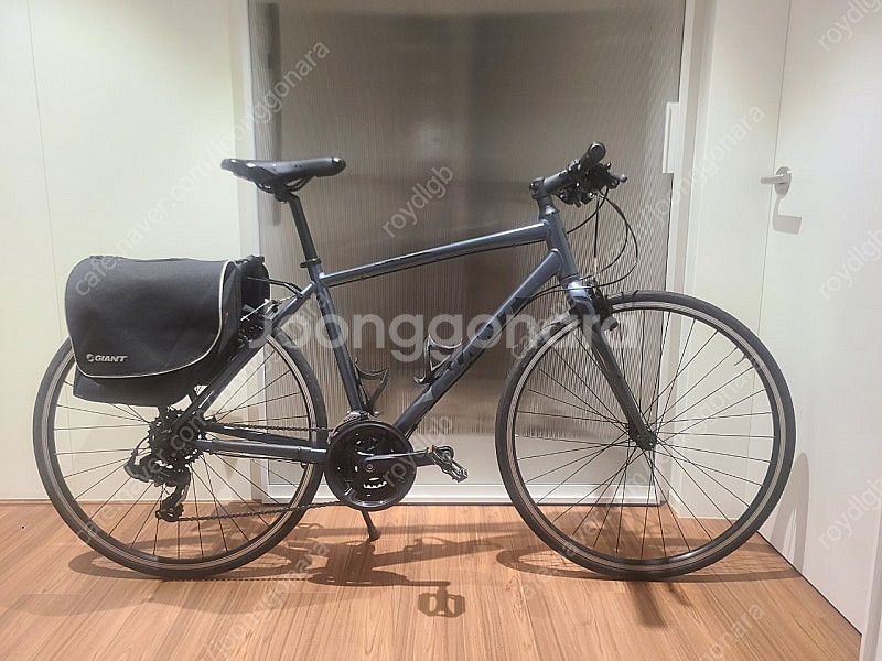 자이언트 에스케이프3 2019년식--0