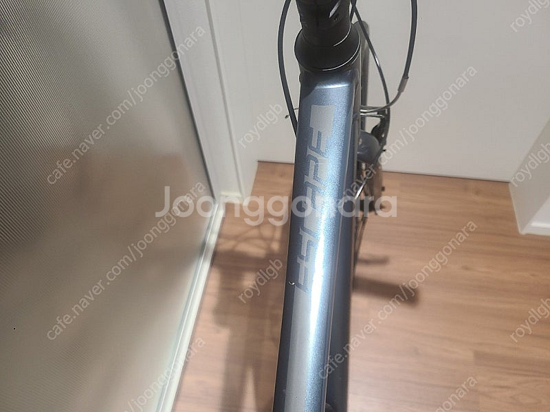 자이언트 에스케이프3 2019년식--1