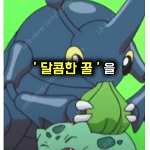 바이브 프로 아이 삽니다