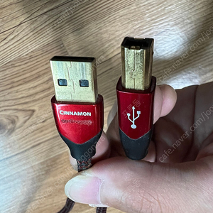 오디오퀘스트 시나몬 USB 2.0 A to B