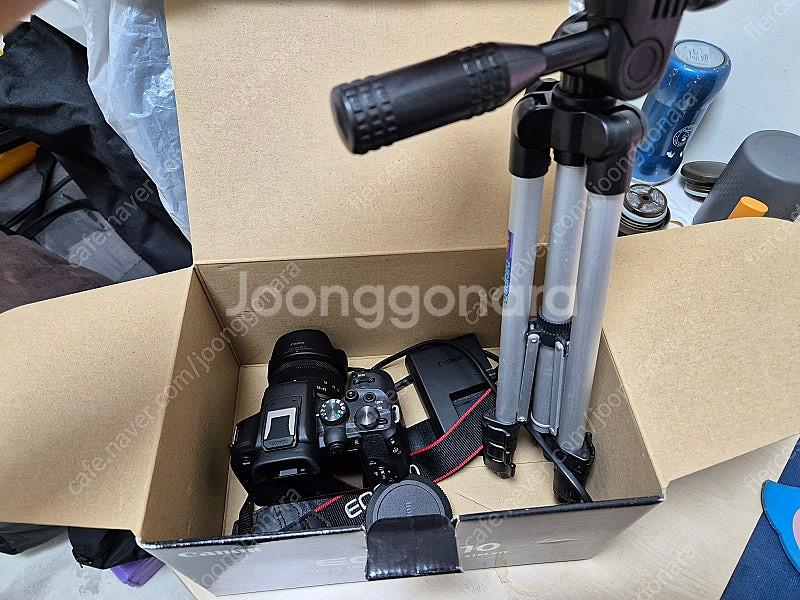 EOS R10 + RF-S 18-45MM--4