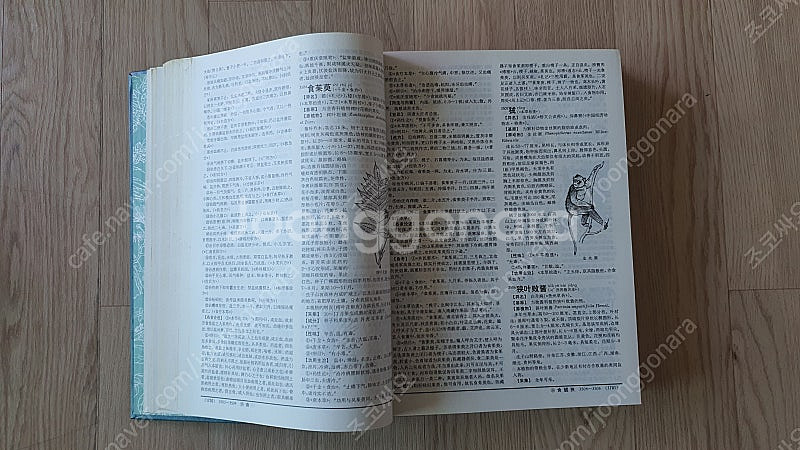 [도서] 중약대사전 中藥大辭典 (上)(下) 上海科學技術...--6