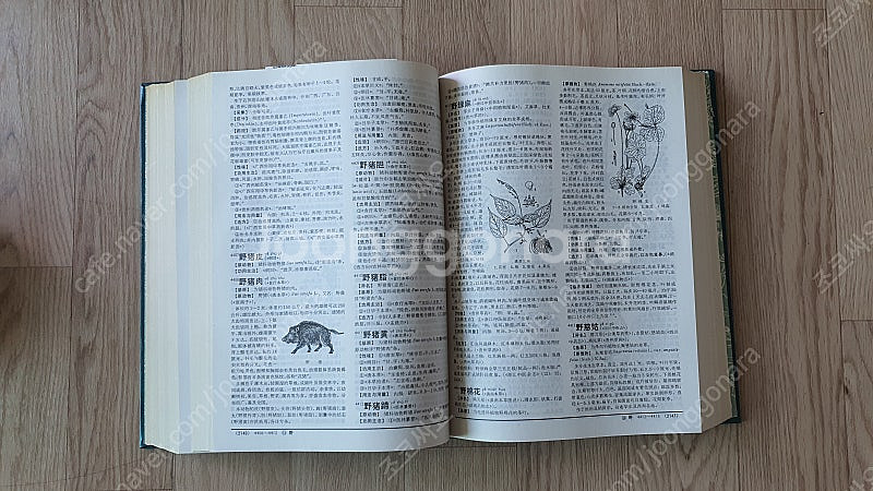 [도서] 중약대사전 中藥大辭典 (上)(下) 上海科學技術...--7