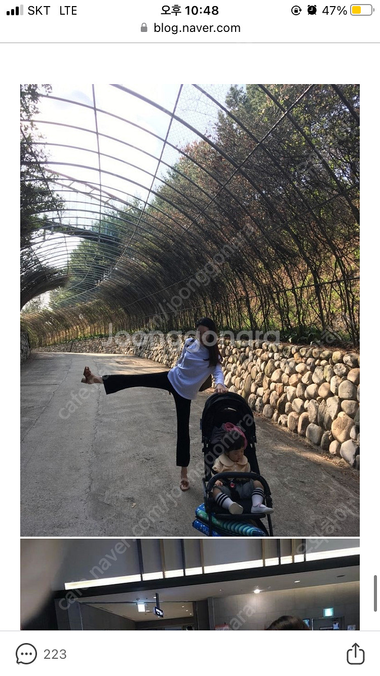끌레르블랑 레깅스--1