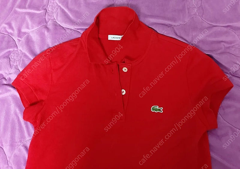 여성 라코스테 반팔피케티셔츠 34사이즈 55 이미지