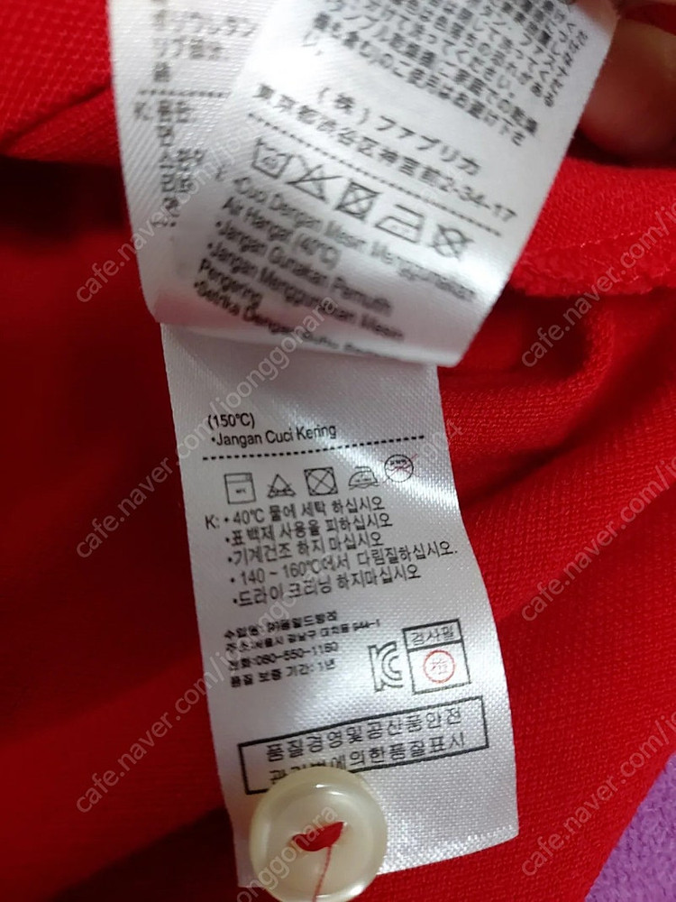 여성 라코스테 반팔피케티셔츠 34사이즈 55 이미지