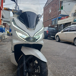 pcx125 19년식 광주광역시