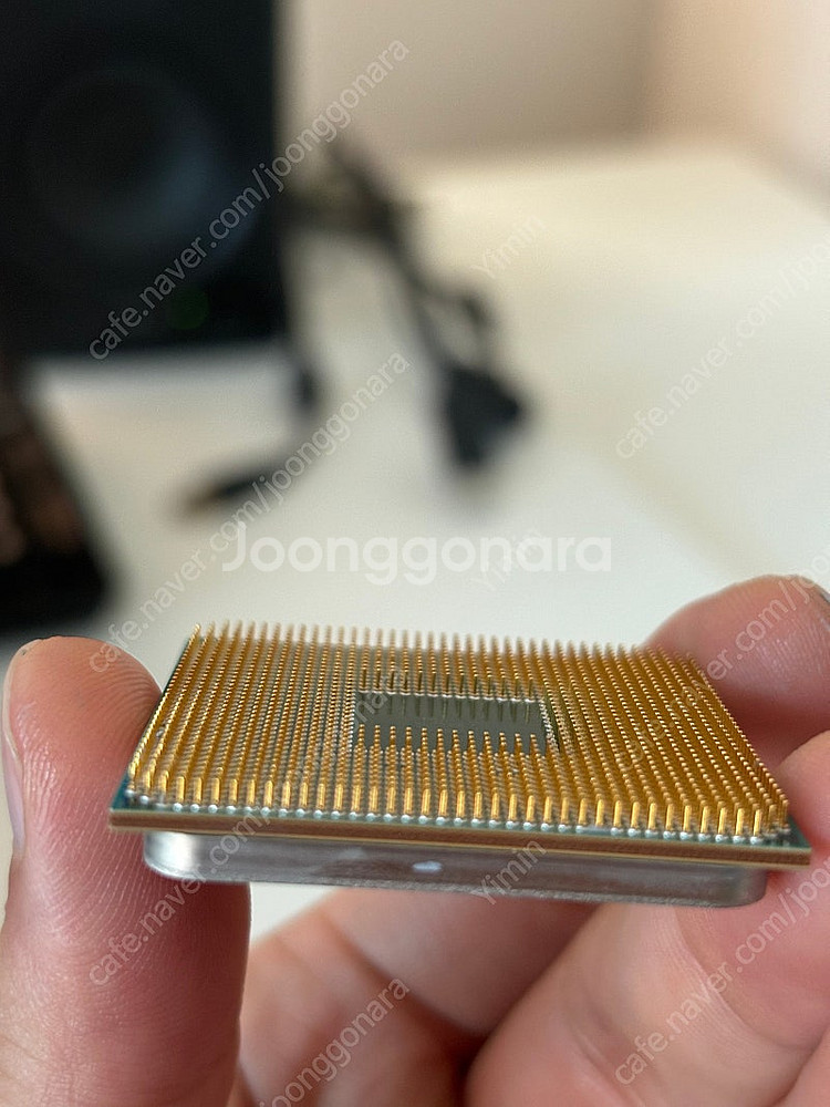 라이젠 1600 판매--2