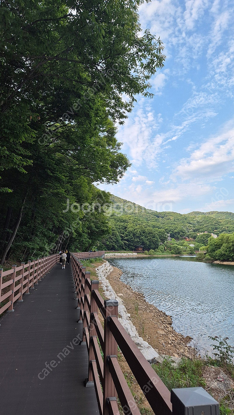 뮤지컬 빨래 24년 7월 13일 2연석 구해요--0