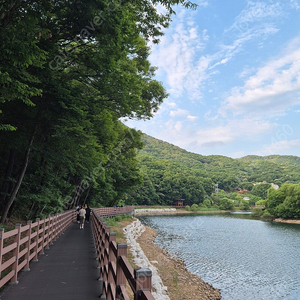 뮤지컬 빨래 24년 7월 13일 2연석 구해요