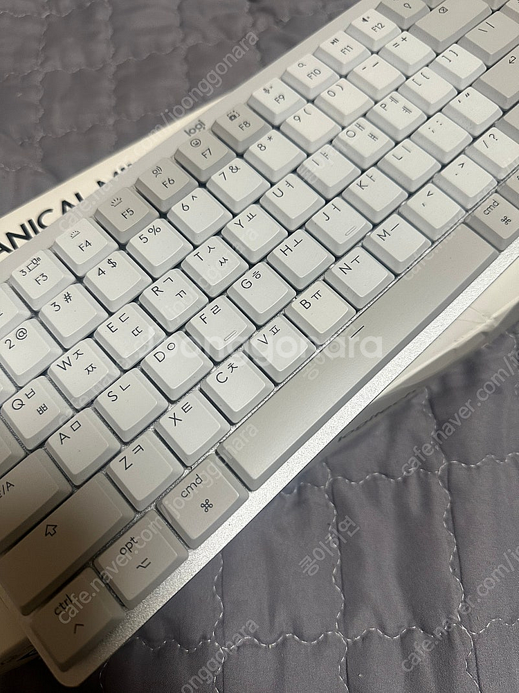로지텍 mechanical mini for mac--0