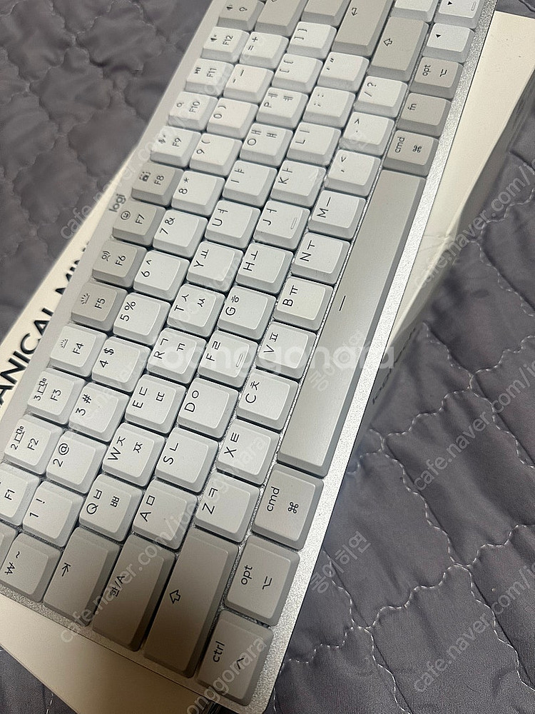 로지텍 mechanical mini for mac--2