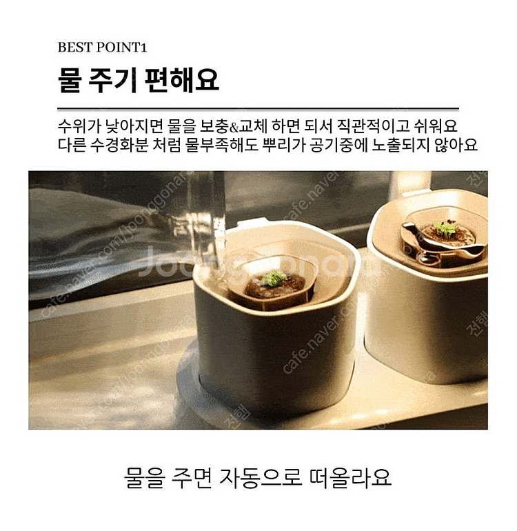 식물 수경재배 화분 3개--4