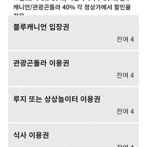 휘닉스파크 블루캐니언 입장권