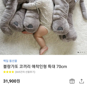 블랑가또 코끼리 애착인형