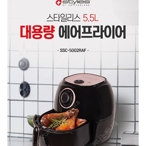 스타일리스 에어프라이어 5.5L 대용량 거의 새것